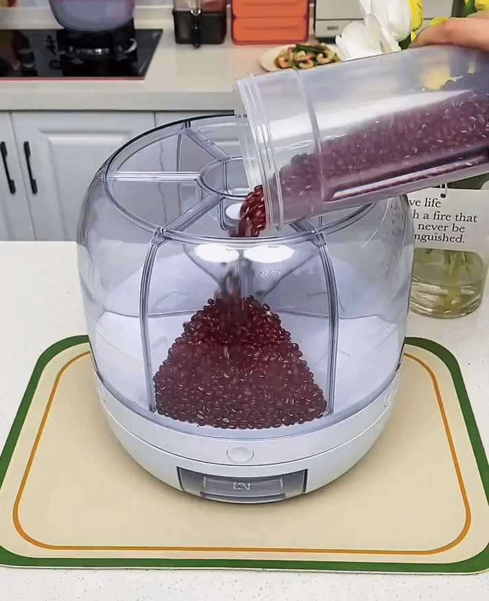 6 Grid Food Storage Dispenser